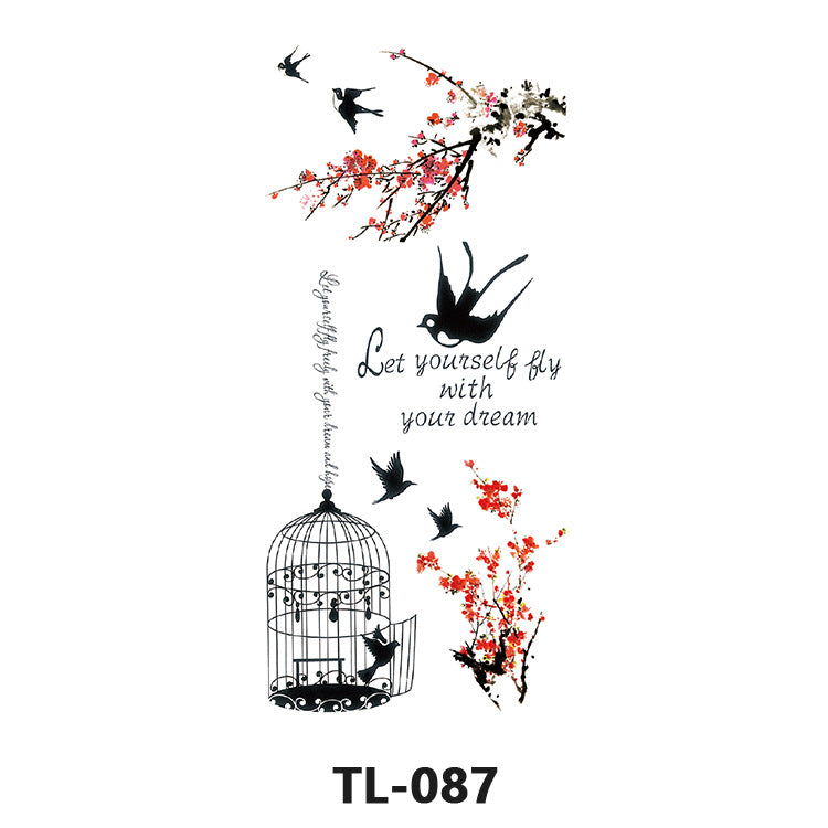 ARTAT-TL-WOMEN