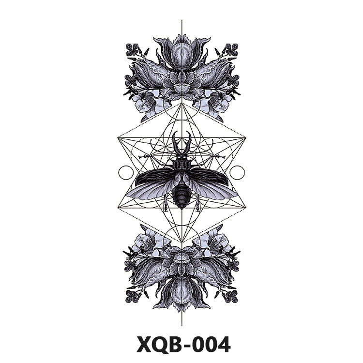 ARTAT-XQB-01