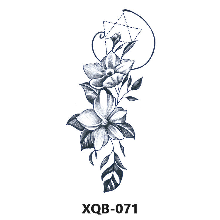 ARTAT-XQB-02