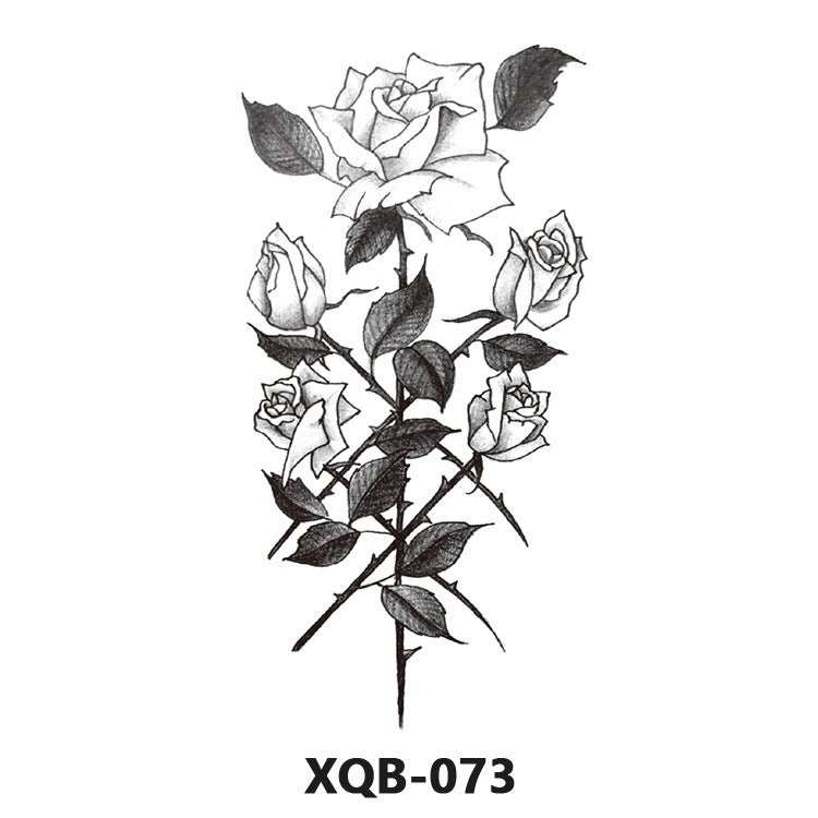 ARTAT-XQB-02